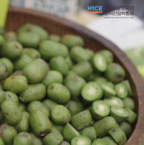 2025남도국제미식산업박람회 개막식의 감동을 전합니다